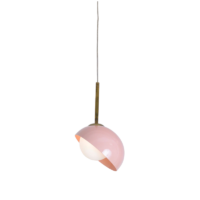 Pendente Lichia